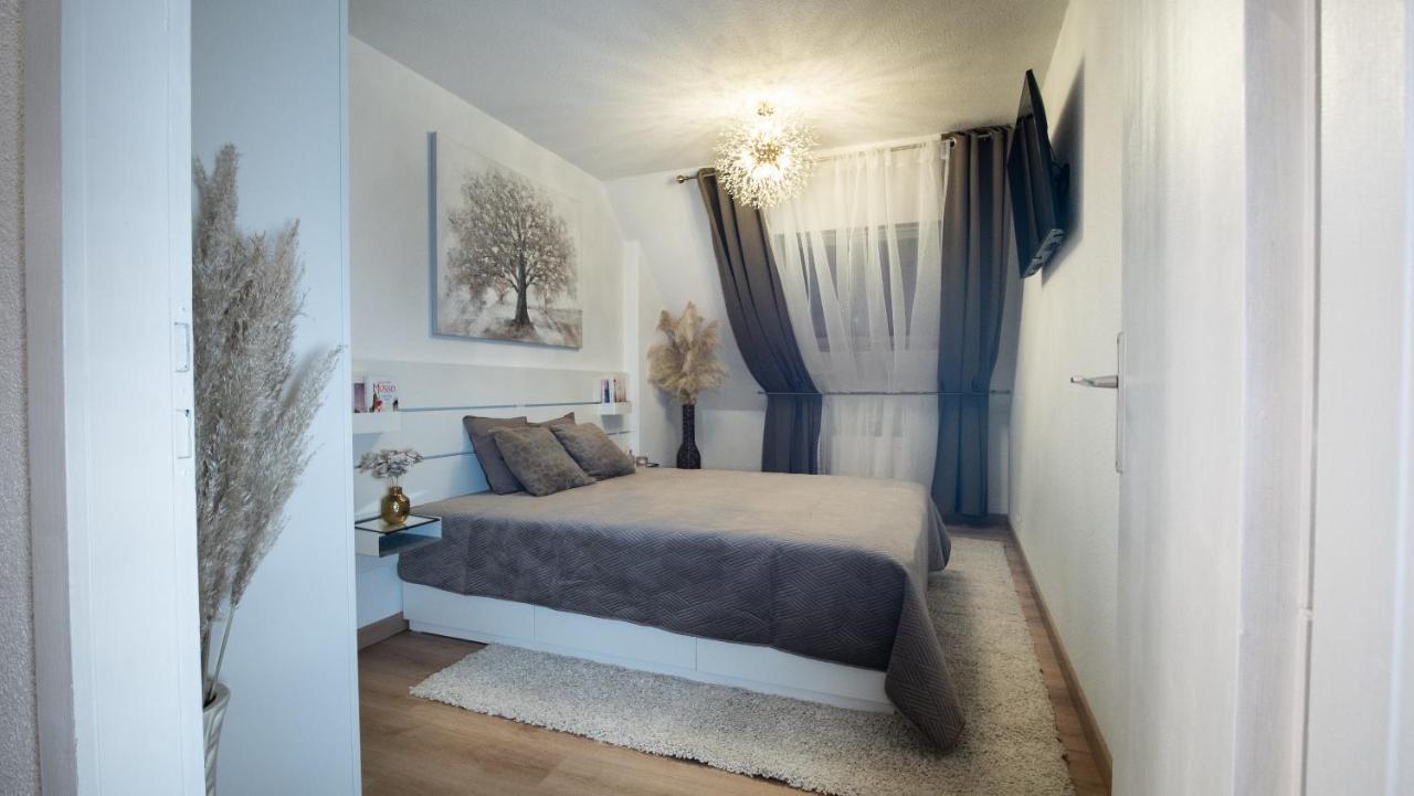 Appartement Superbe Au Coeur Du Colmar